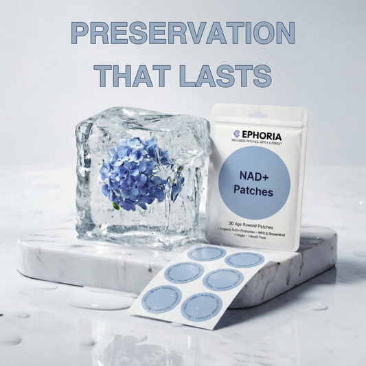 Undo Protocol (The Rewind Patch)